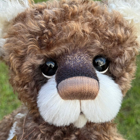 Timothy - 18" Hand-dyed curly kid mohair Artist Bear by Emma's Bears - OOAK