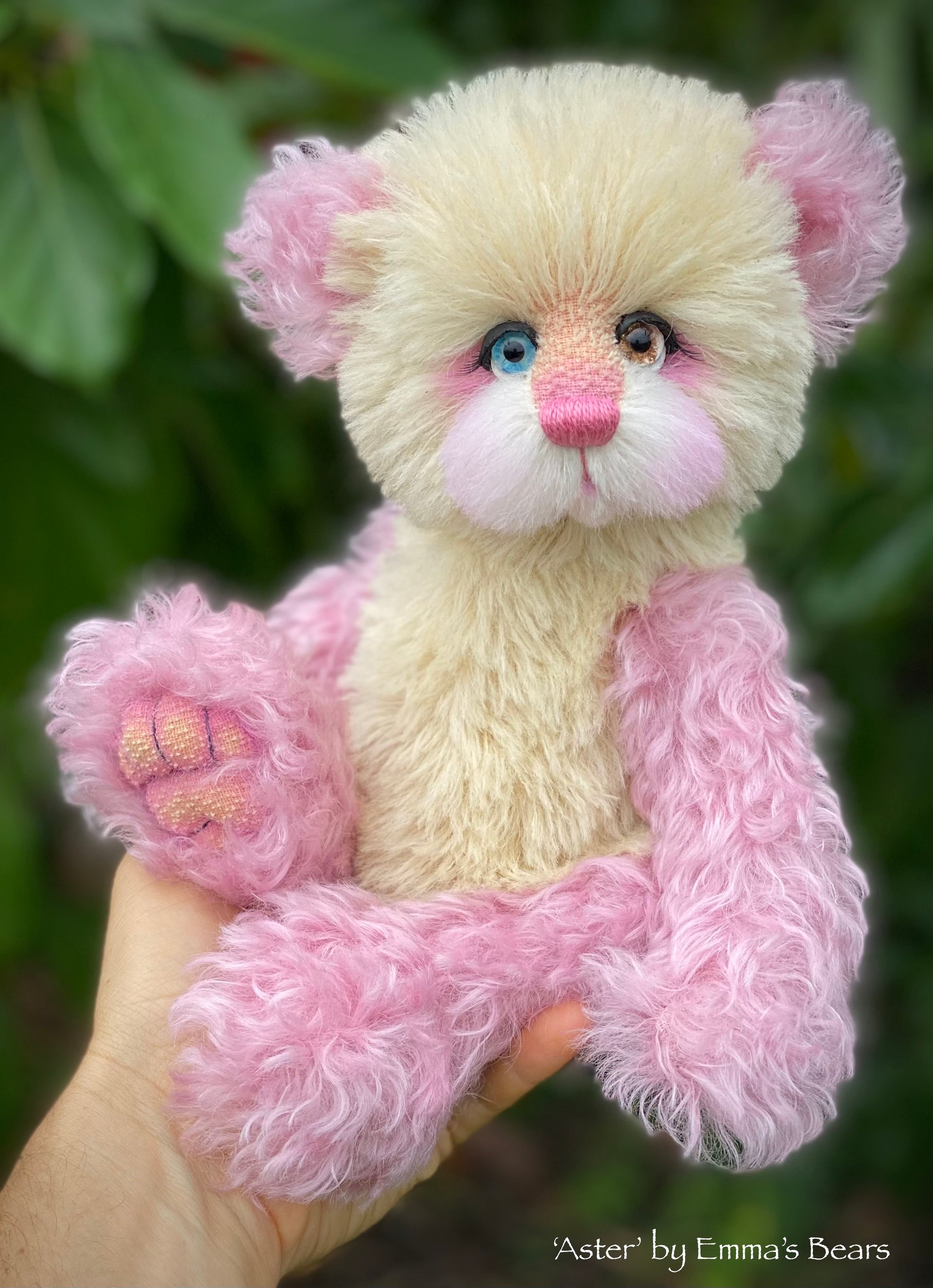 Aster - 12" Curly Kid Mohair and Alpaca artist bear by Emma's Bears - OOAK