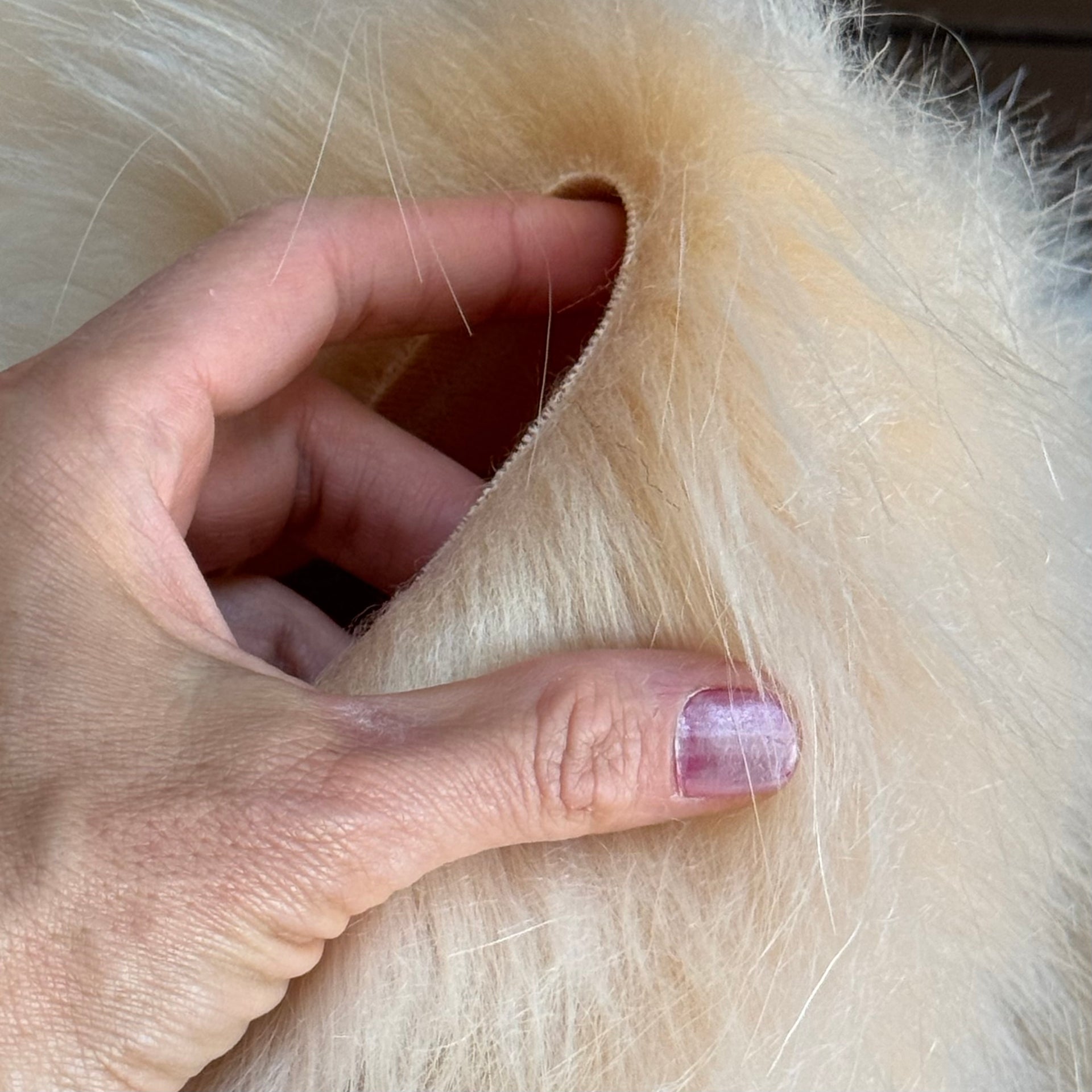 ARCTIC CREAM - Luxury Faux Fur - 2025 Range