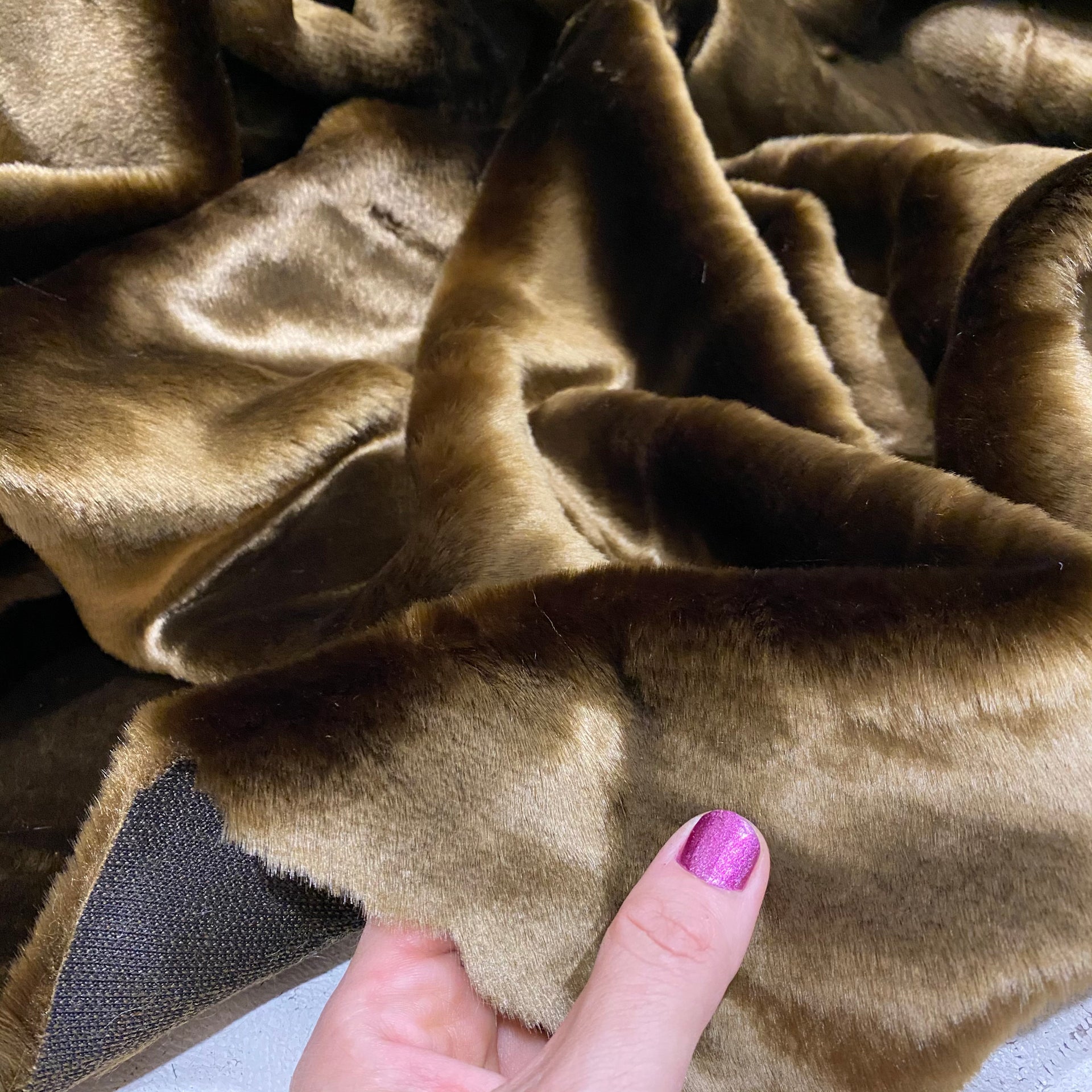 CARDAMOM - Budget Range - 2021 Release