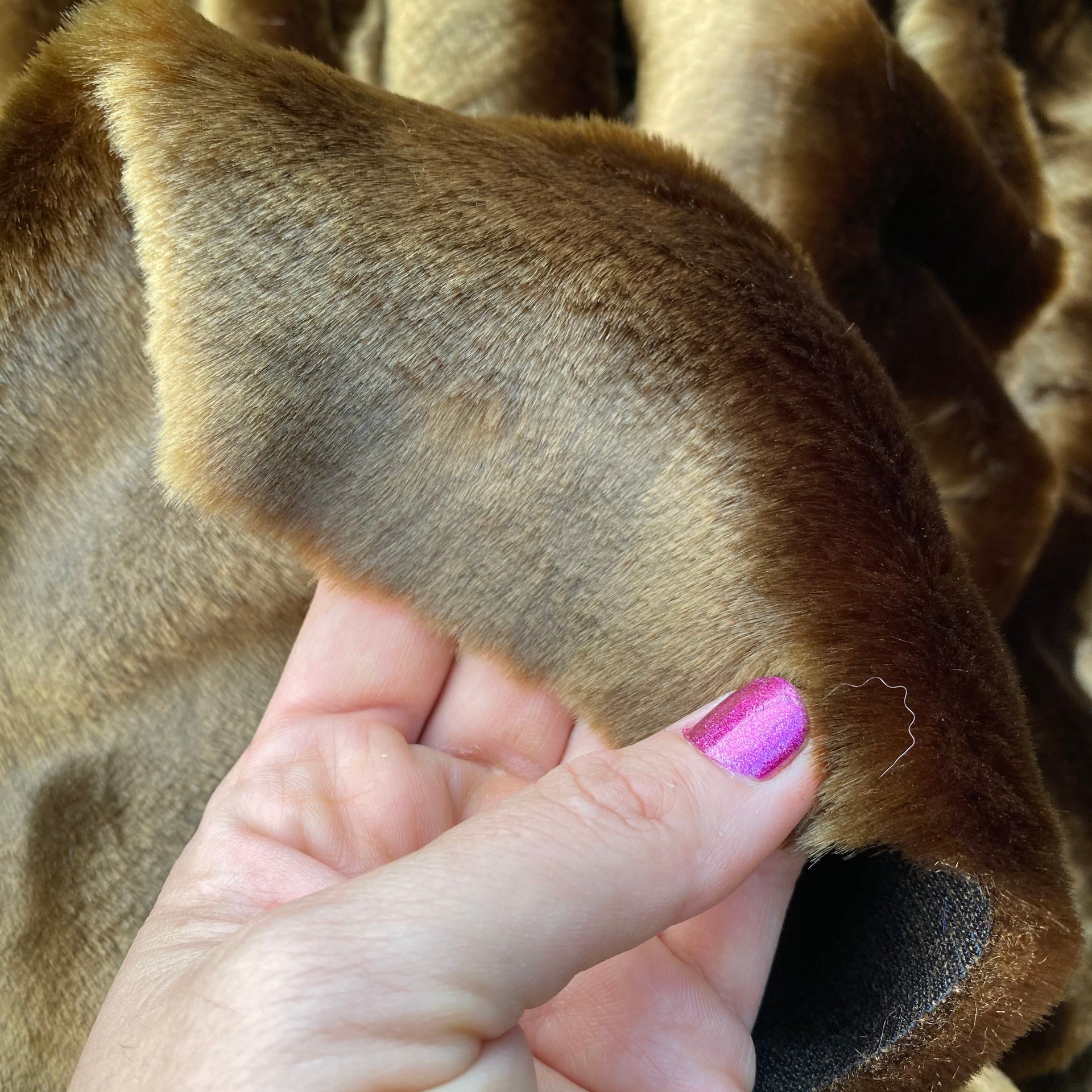 CARDAMOM - Budget Range - 2021 Release