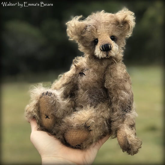 Walter - 10" Mohair Artist Bear by Emma's Bears - OOAK
