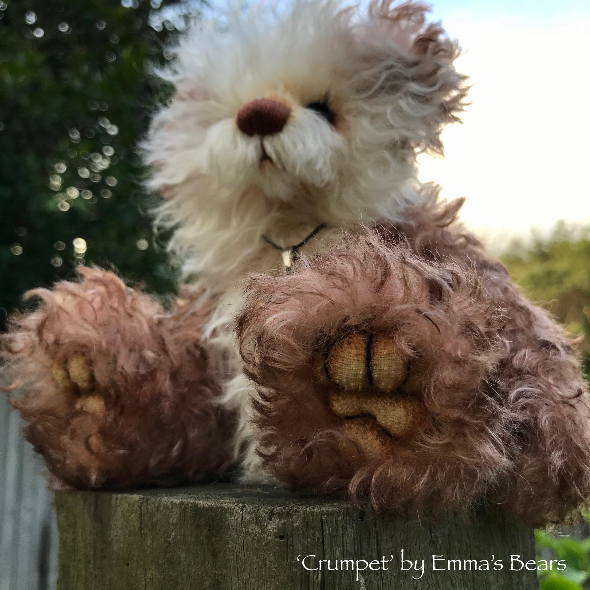 Crumpet - 8"  Mohair Artist Bear by Emma's Bears - OOAK