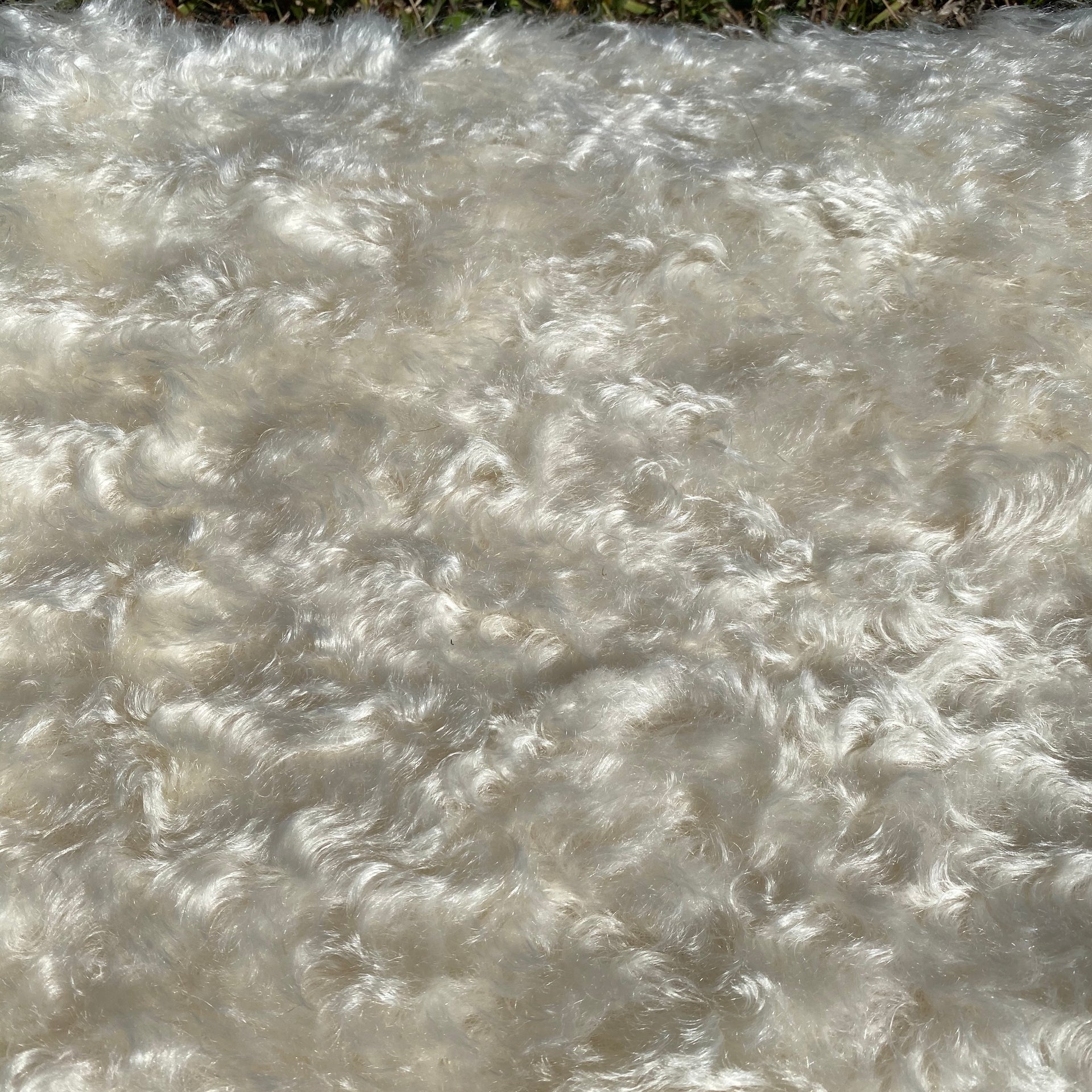 Jasmine - Ivory Curly Kid Mohair