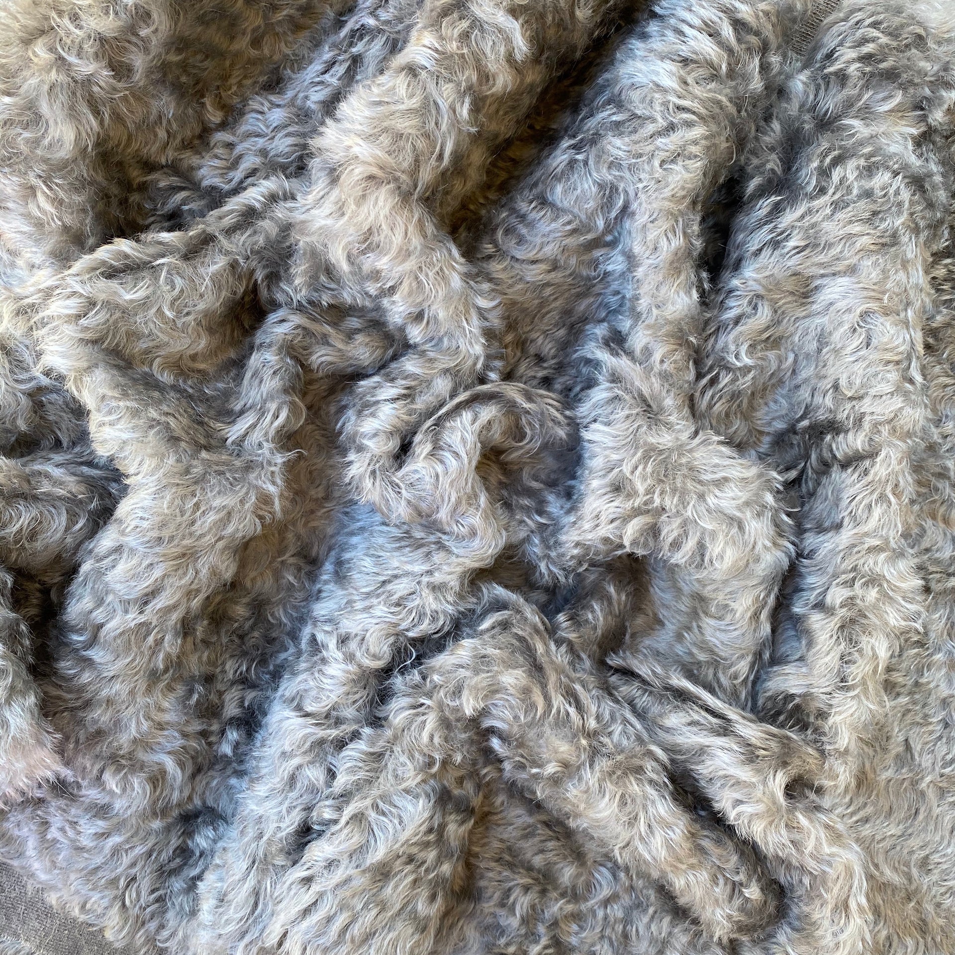 Otto - Grey Curly Kid Mohair